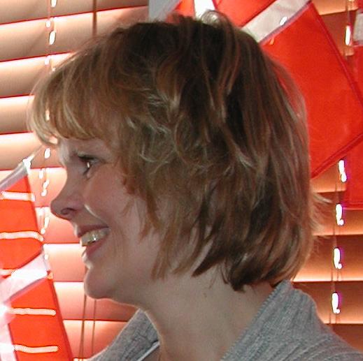 billede.JPG (39026 bytes)